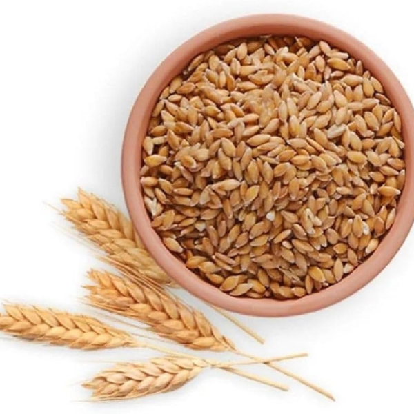 WHEAT